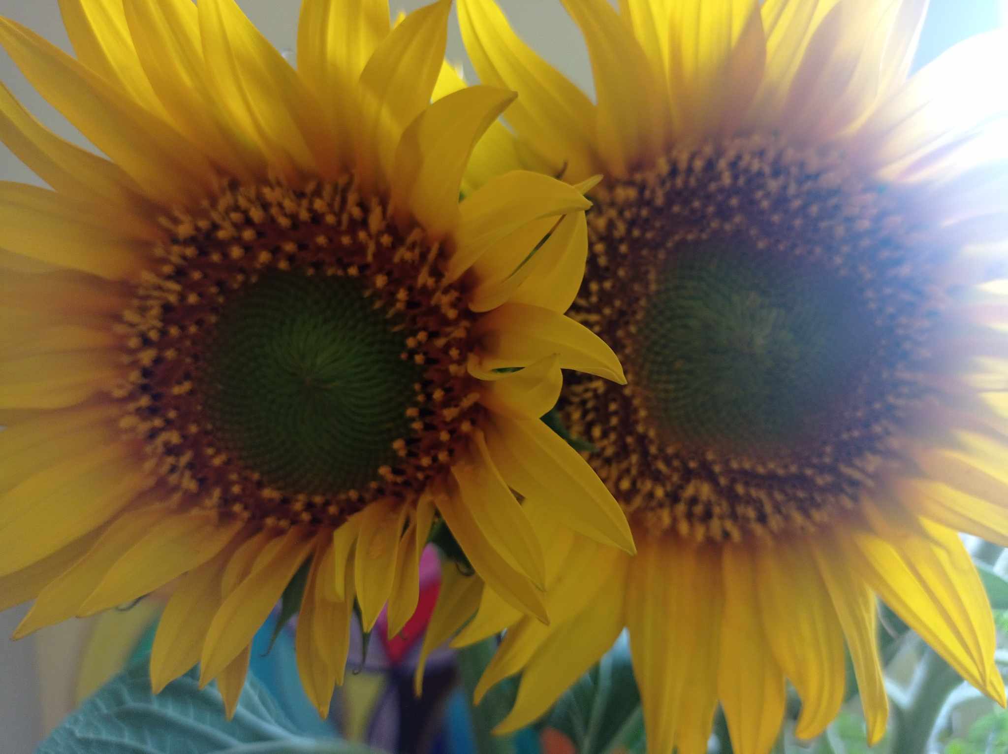 361451944_815894280055768_8604811735441126612_n